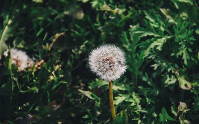 Making Change: Public Policy and the Opportunities for the NGO Sector