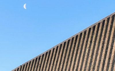 Reflections on Trust-Based Philanthropy