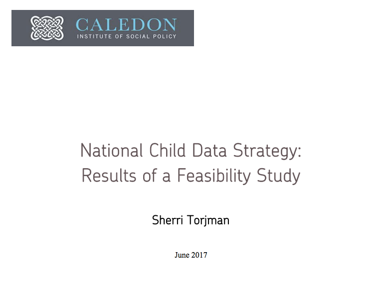 National Child Data Strategy: Results of a Feasibility Study